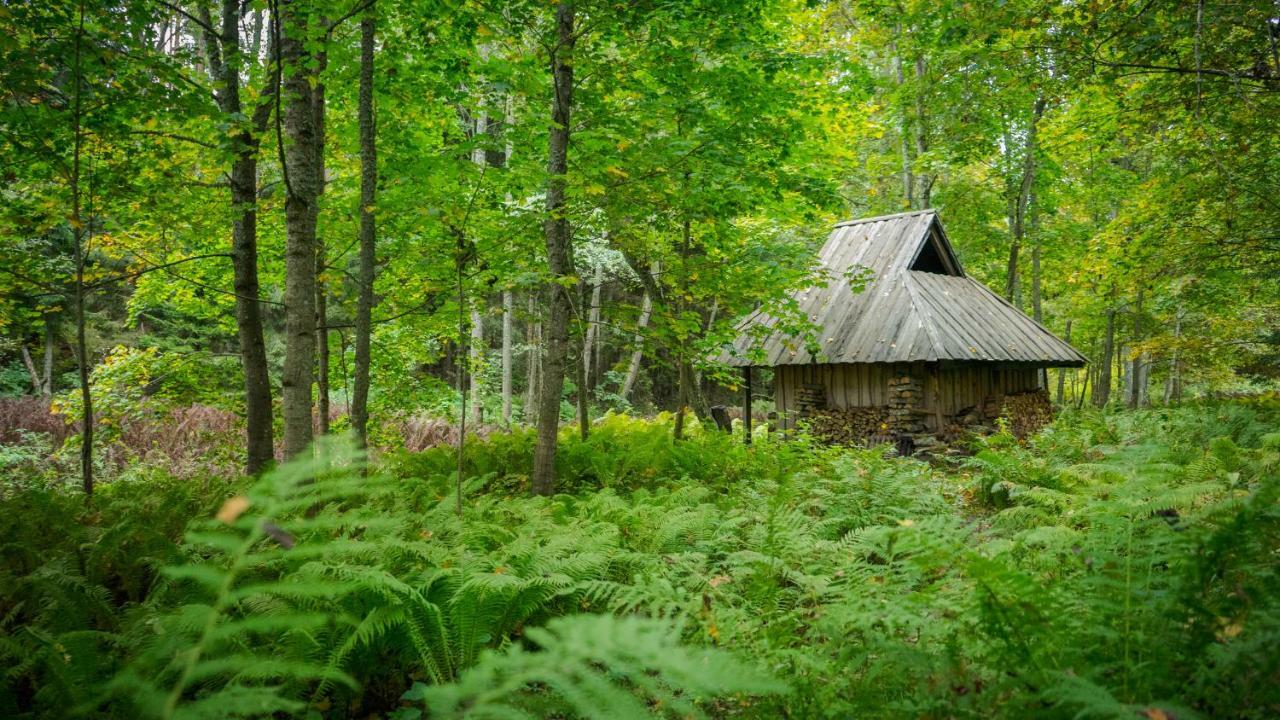 Adami Country Guesthouse Vainupea Exterior photo