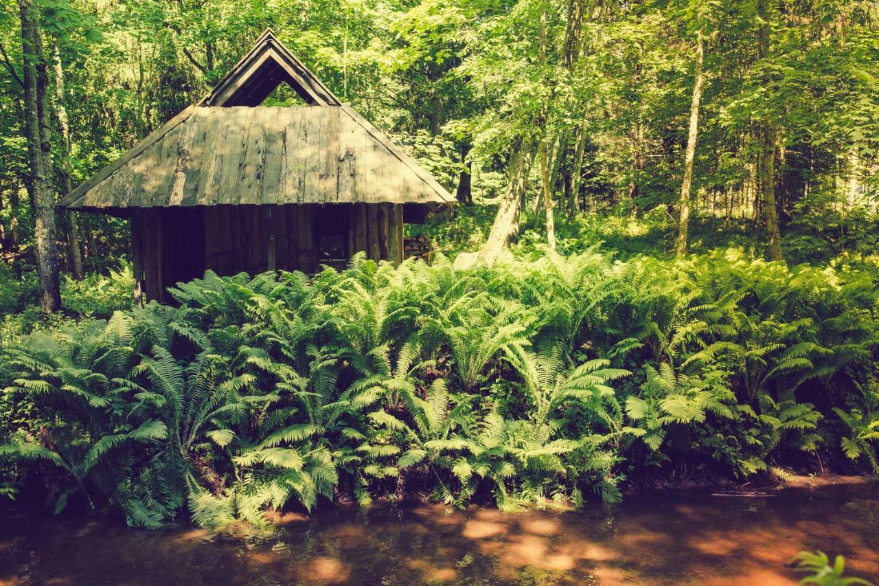 Adami Country Guesthouse Vainupea Exterior photo