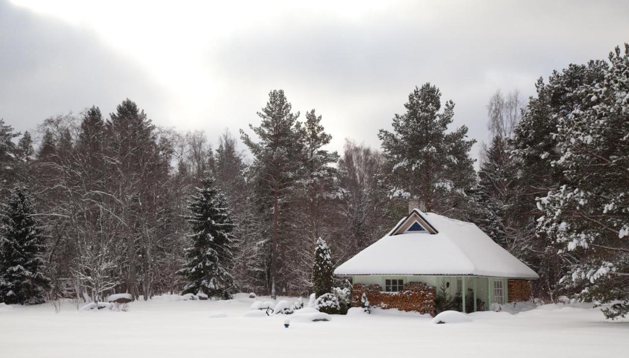 Adami Country Guesthouse Vainupea Exterior photo